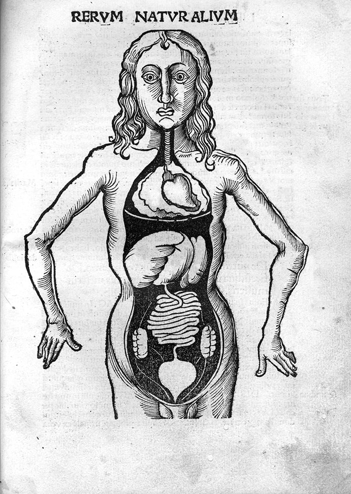Image Hotspot - Organe - EN